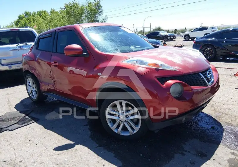 2014 Nissan Juke photo