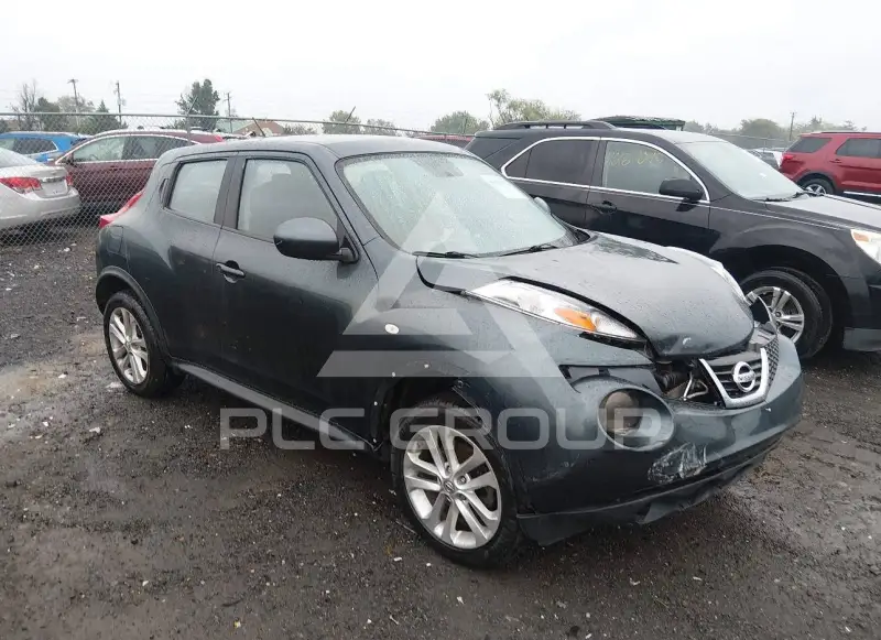 2014 Nissan Juke photo