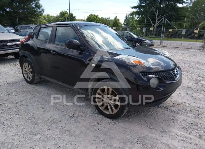 2014 Nissan Juke photo