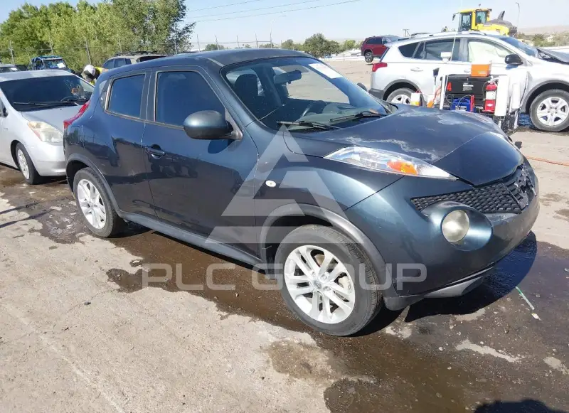 2014 Nissan Juke photo