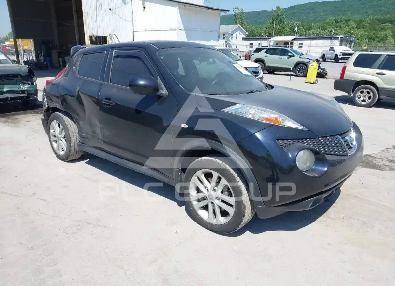 2014 Nissan Juke photo