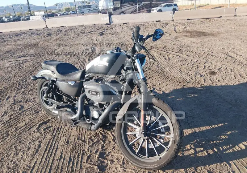2014 Harley-Davidson XL883 фото
