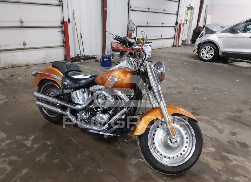 2014 Harley-Davidson FLSTF photo