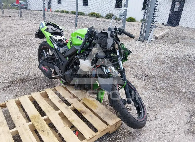 2014 Kawasaki EX300 фото
