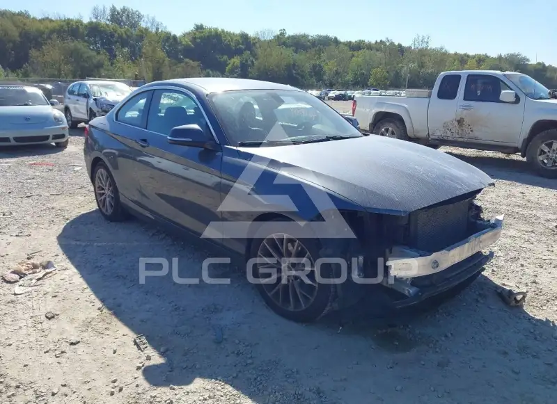2014 BMW 228 фото