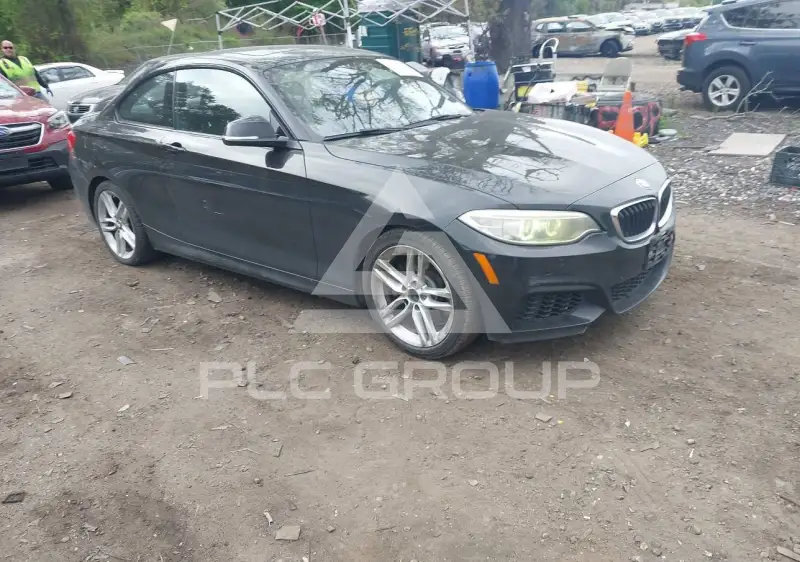 2014 BMW 228 фото