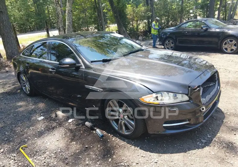 2014 Jaguar XJ фото