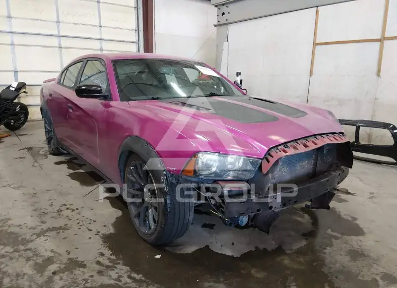 2014 Dodge CHARGER фото