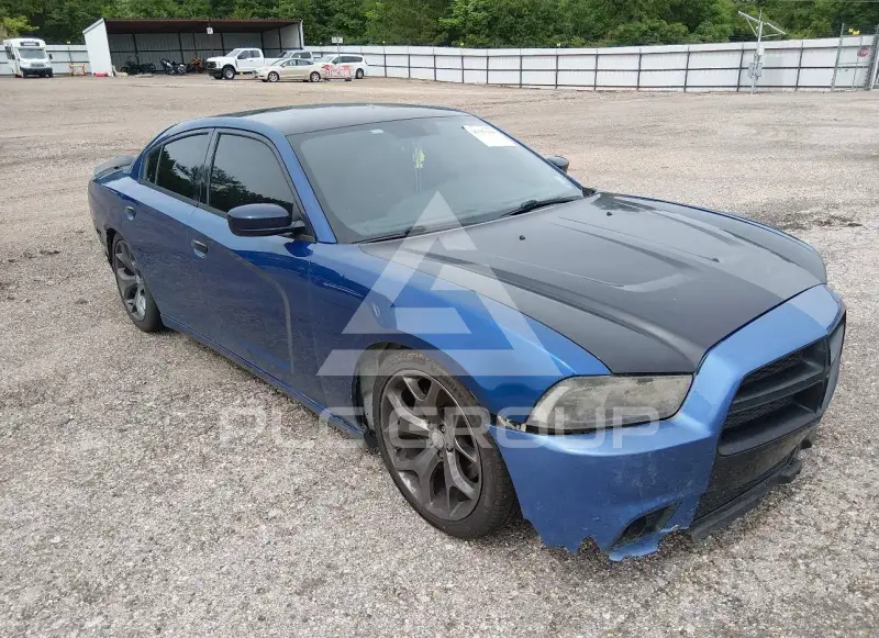 2014 Dodge CHARGER photo