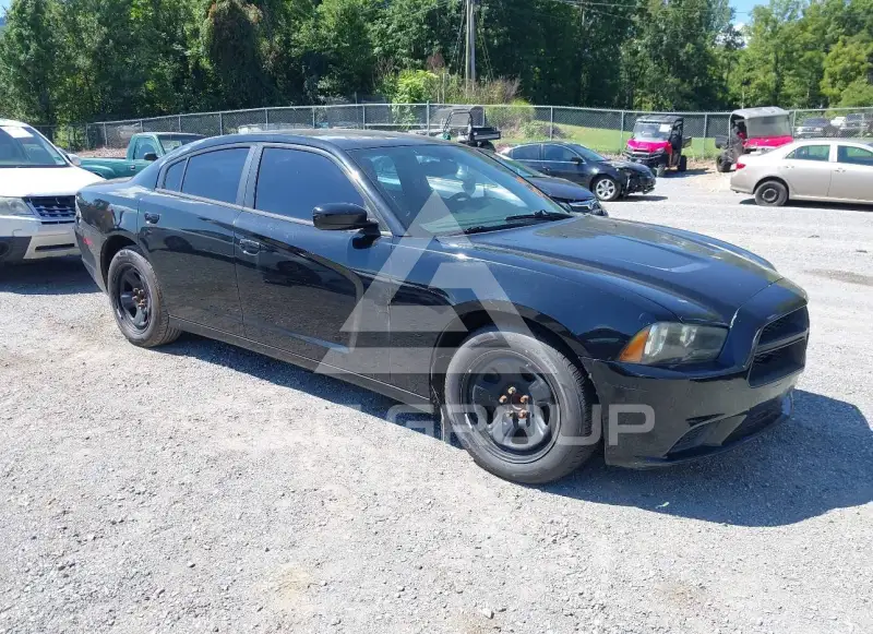 2014 Dodge CHARGER фото