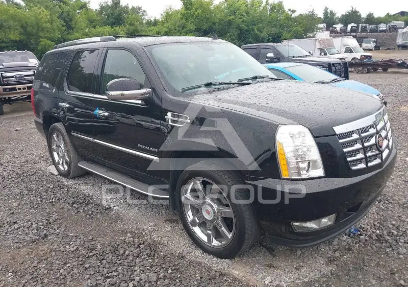 2014 Cadillac ESCALADE photo