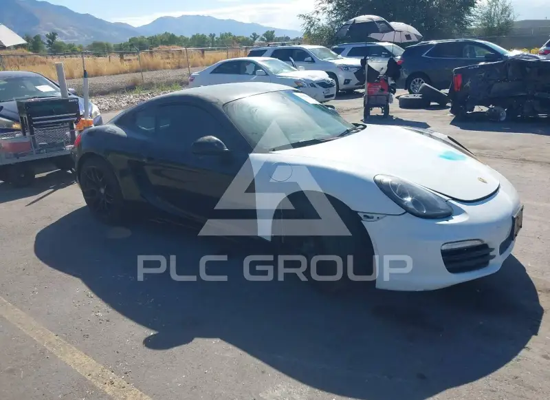 2014 Porsche Cayman photo