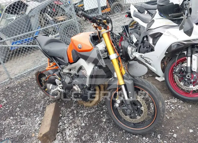 2014 Yamaha FZ09 фото