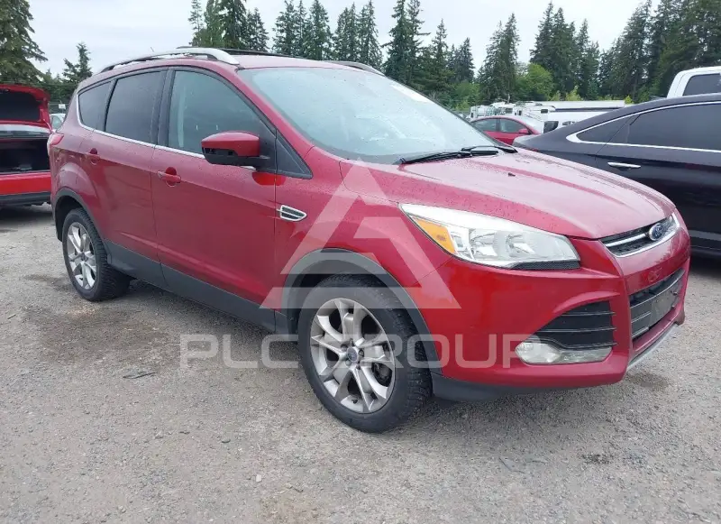 2014 Ford ESCAPE photo