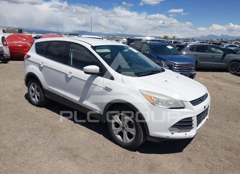 2014 Ford ESCAPE photo