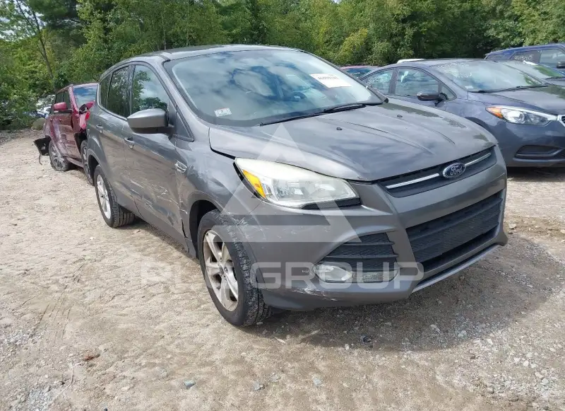 2014 Ford ESCAPE photo