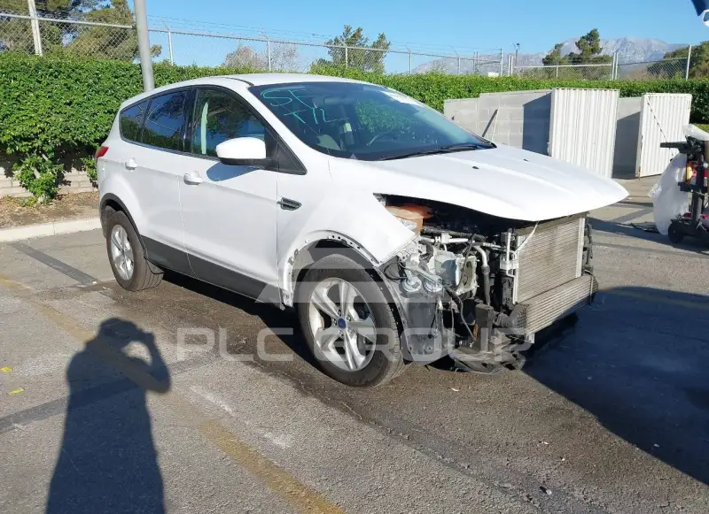 2014 Ford ESCAPE photo