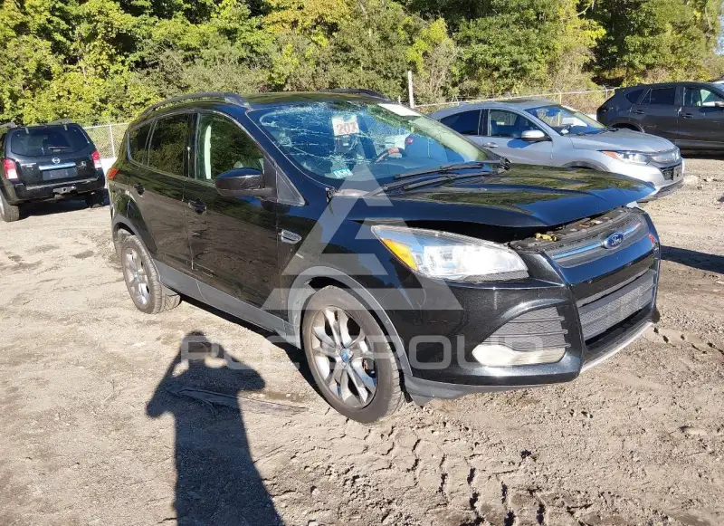 2014 Ford ESCAPE photo