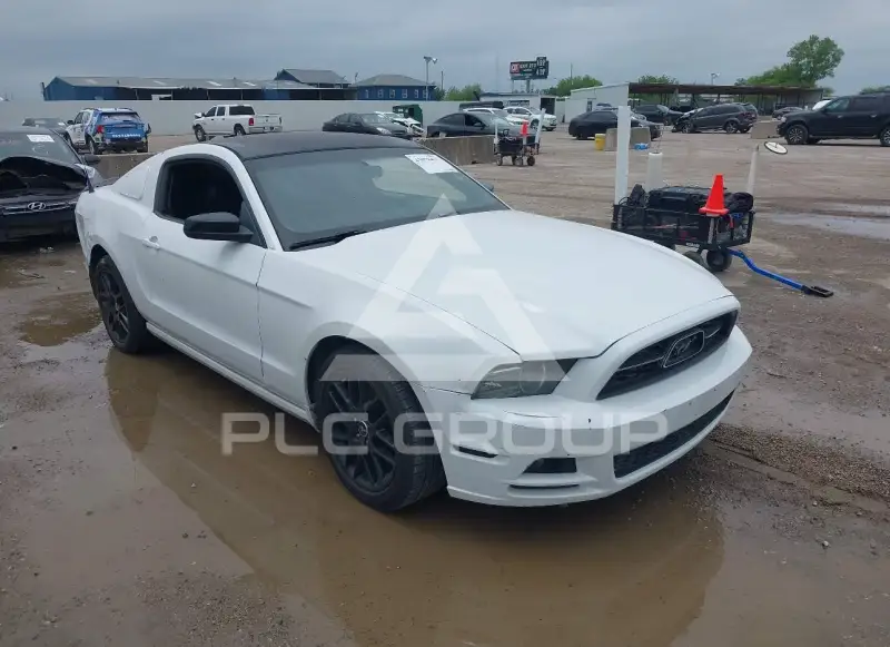 2014 Ford MUSTANG фото