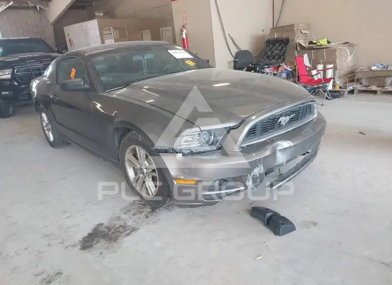 2014 Ford MUSTANG фото