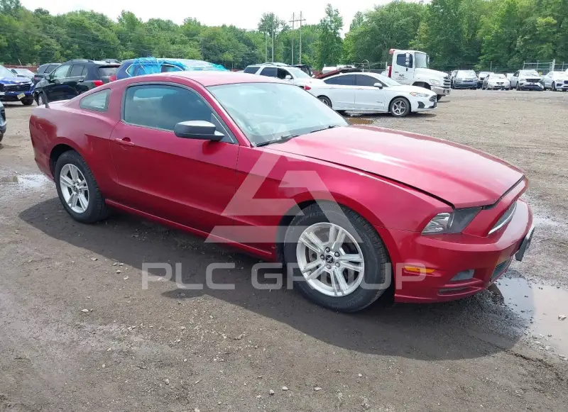 2014 Ford MUSTANG фото
