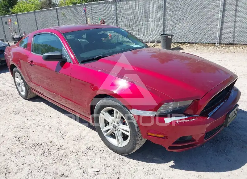 2014 Ford MUSTANG фото