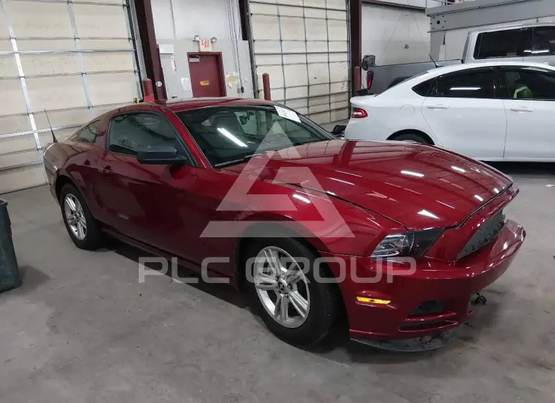 2014 Ford MUSTANG фото