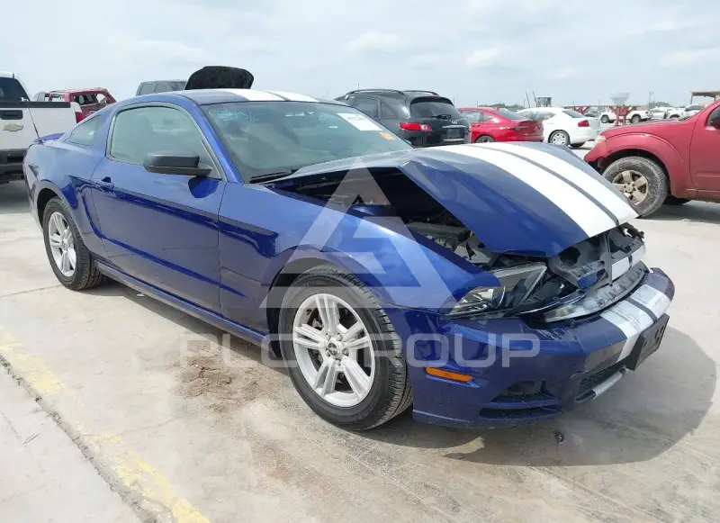 2014 Ford MUSTANG фото