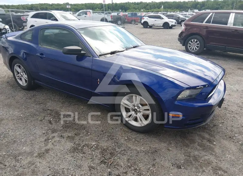 2014 Ford MUSTANG фото