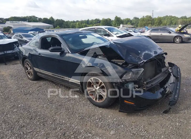 2014 Ford MUSTANG фото