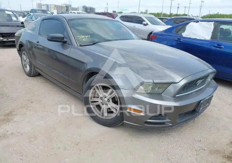 2014 Ford MUSTANG фото