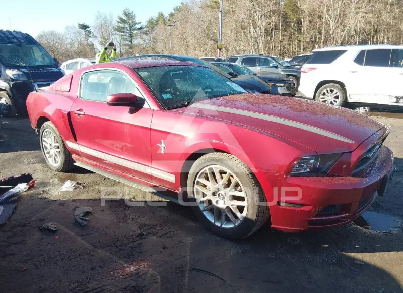 2014 Ford MUSTANG фото