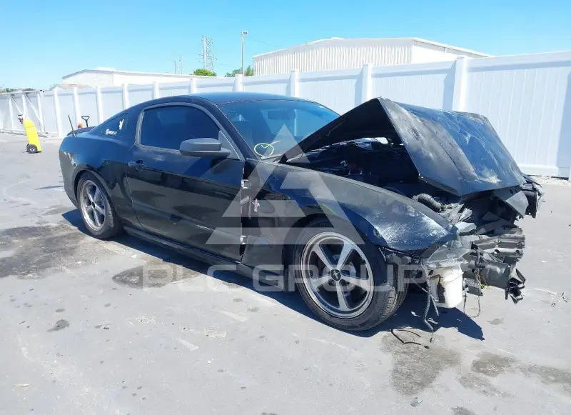 2014 Ford MUSTANG photo