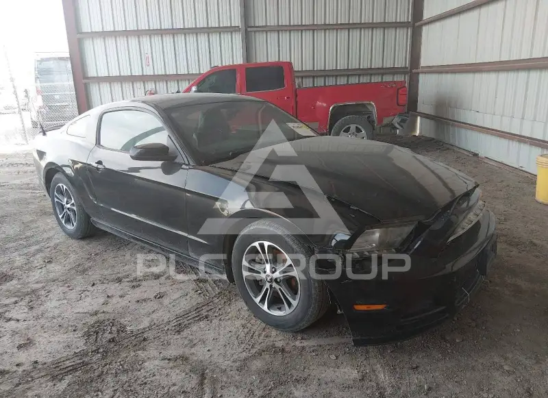 2014 Ford MUSTANG фото