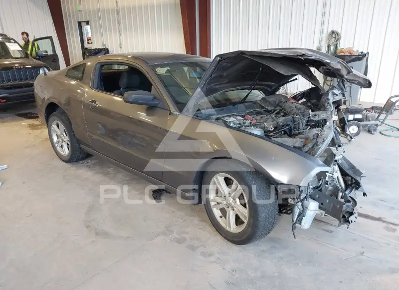2014 Ford MUSTANG photo