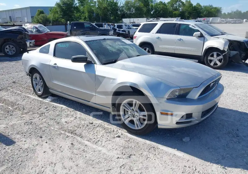 2014 Ford MUSTANG фото