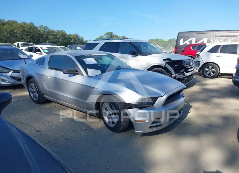 2014 Ford MUSTANG фото