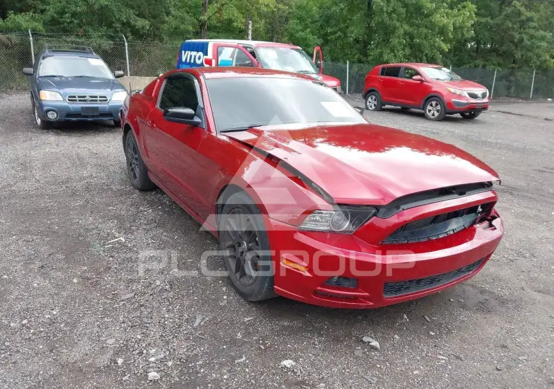 2014 Ford MUSTANG фото