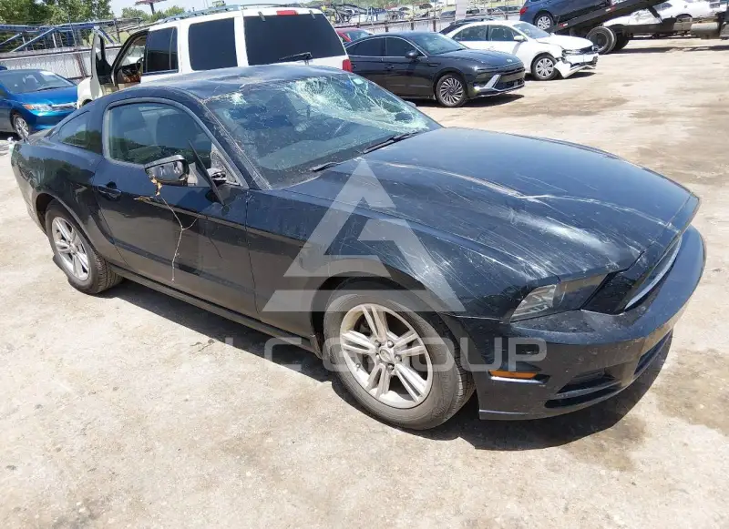2014 Ford MUSTANG photo