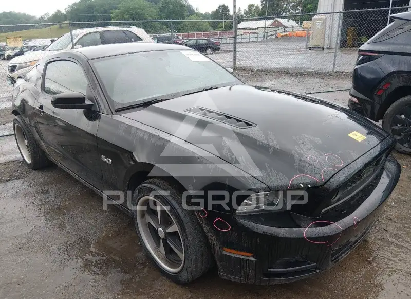 2014 Ford MUSTANG фото