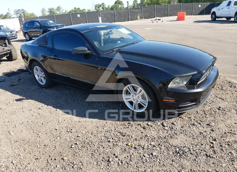 2014 Ford MUSTANG фото