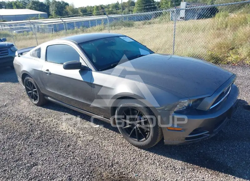 2014 Ford MUSTANG фото