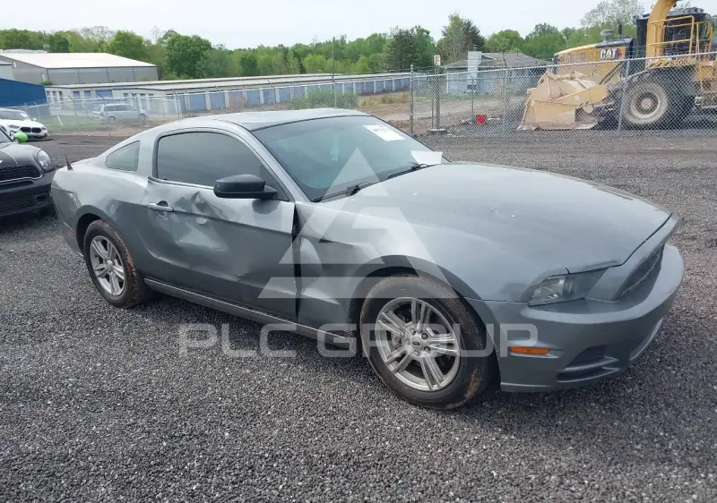 2014 Ford MUSTANG фото