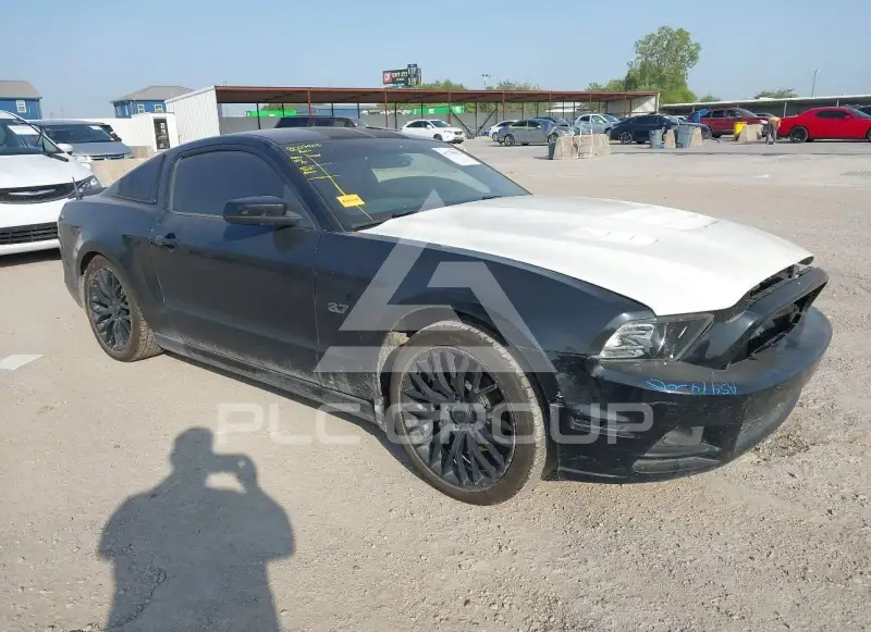 2014 Ford MUSTANG photo