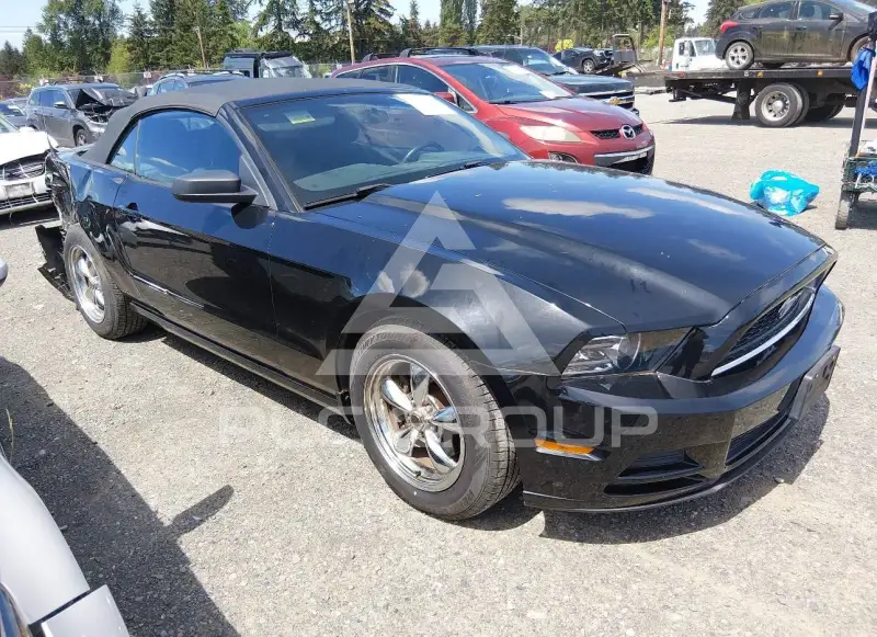 2014 Ford MUSTANG фото