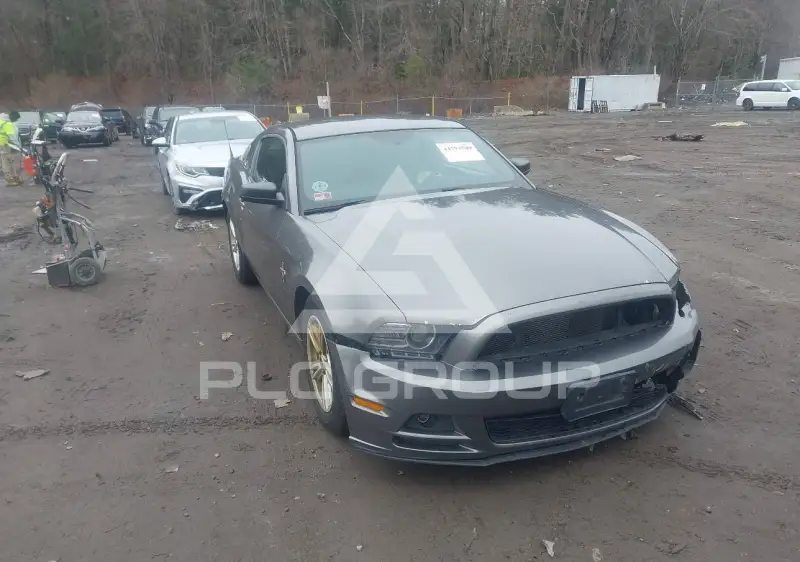 2014 Ford MUSTANG photo