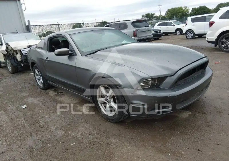 2014 Ford MUSTANG photo