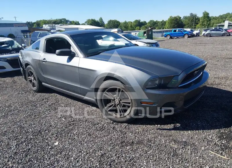 2014 Ford MUSTANG фото