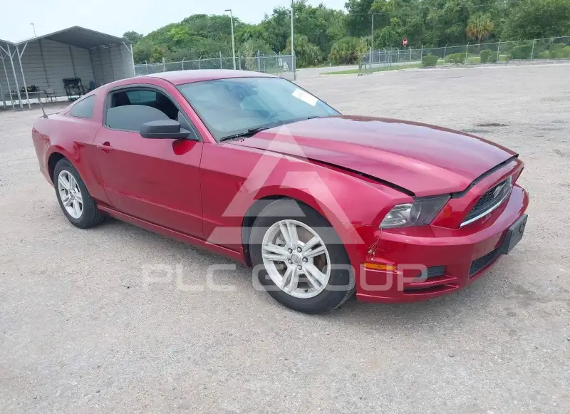 2014 Ford MUSTANG фото