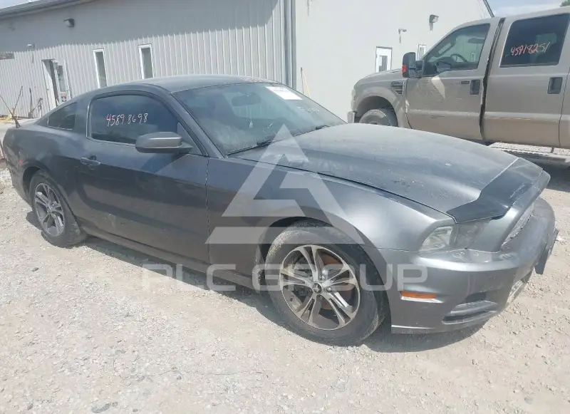 2014 Ford MUSTANG photo
